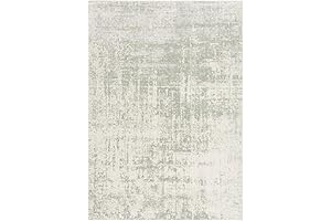 SAFAVIEH Adirondack Collection Sage Area Rug