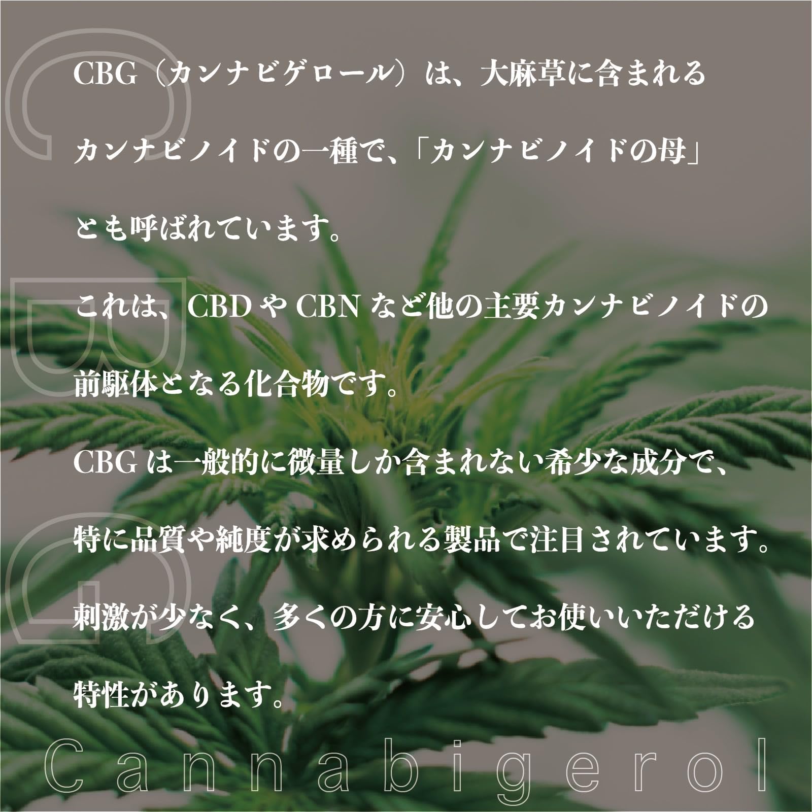 Amazon.co.jp: CBG アイソレート クリスタル パウダー 高純度99.6％ 1g