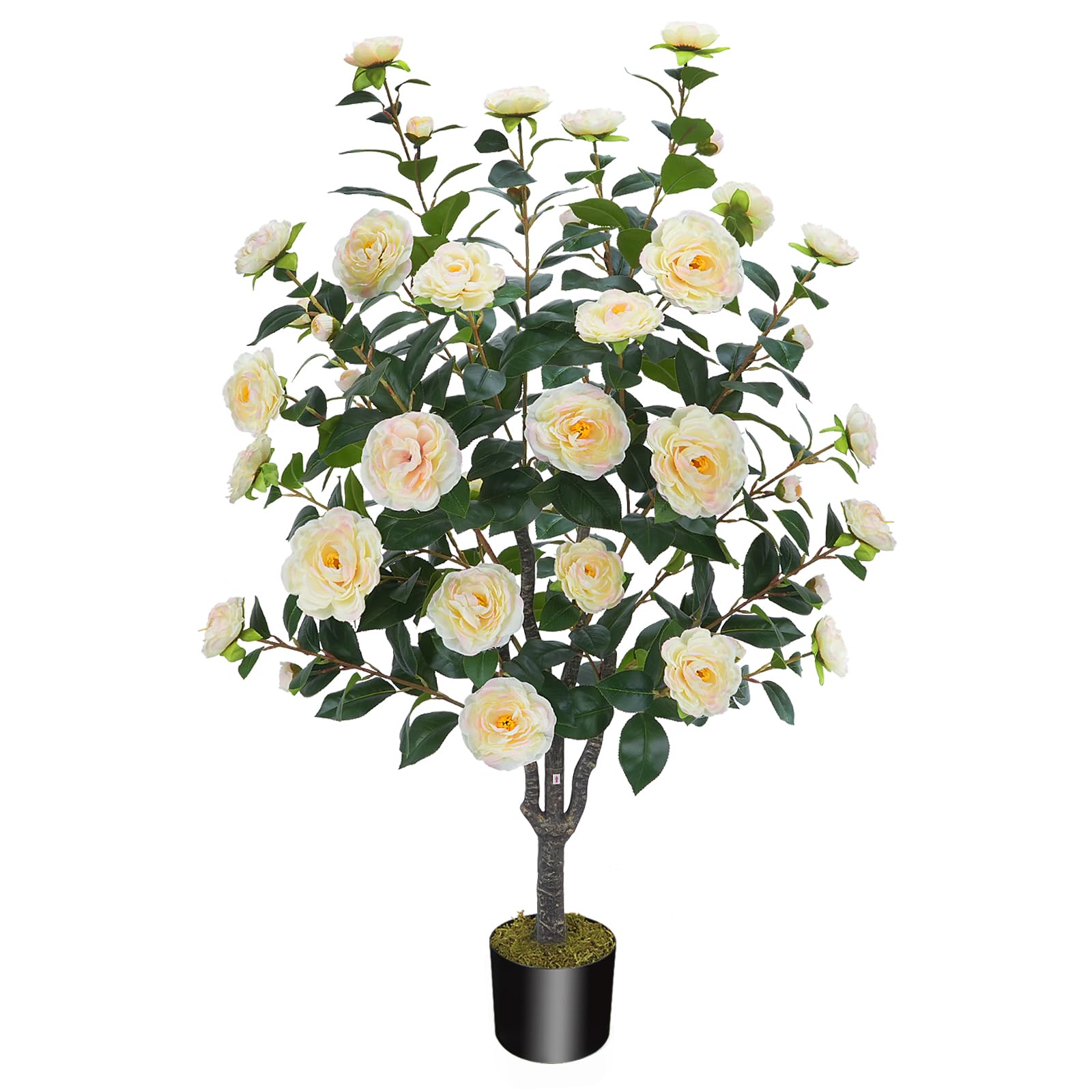 MHMJON 3.6FT Camellia Tree