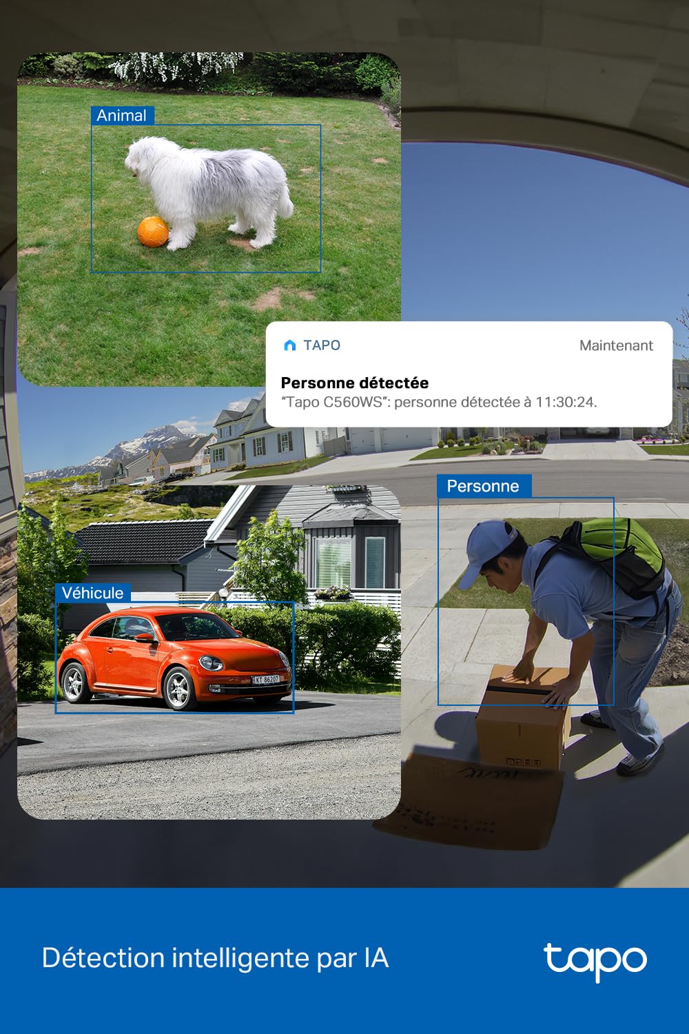 Tapo C560WS Caméra de surveillance extérieure Wi-Fi 4K 360°, Wi-Fi 6 double bande, vision nocturne couleur, détection IA gratuite, suivi intelligent, alarme lumineuse et sonore, audio bidirectionnel