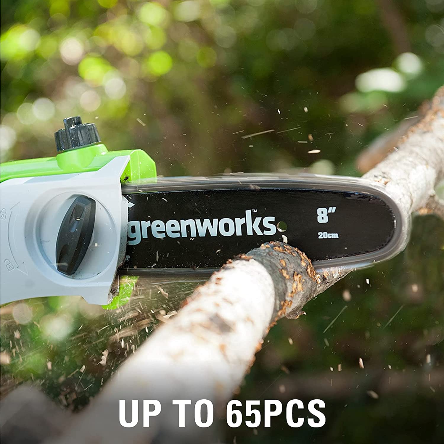 Greenworks Akku Teleskop Heckenschere Kettensäge Elektro + Sägekette