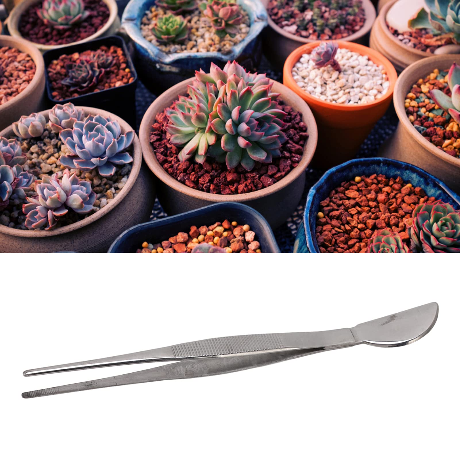 Bonsai Tweezers Tools, Bonsai Tweezers Rust Proof for Loosening Soil Straight