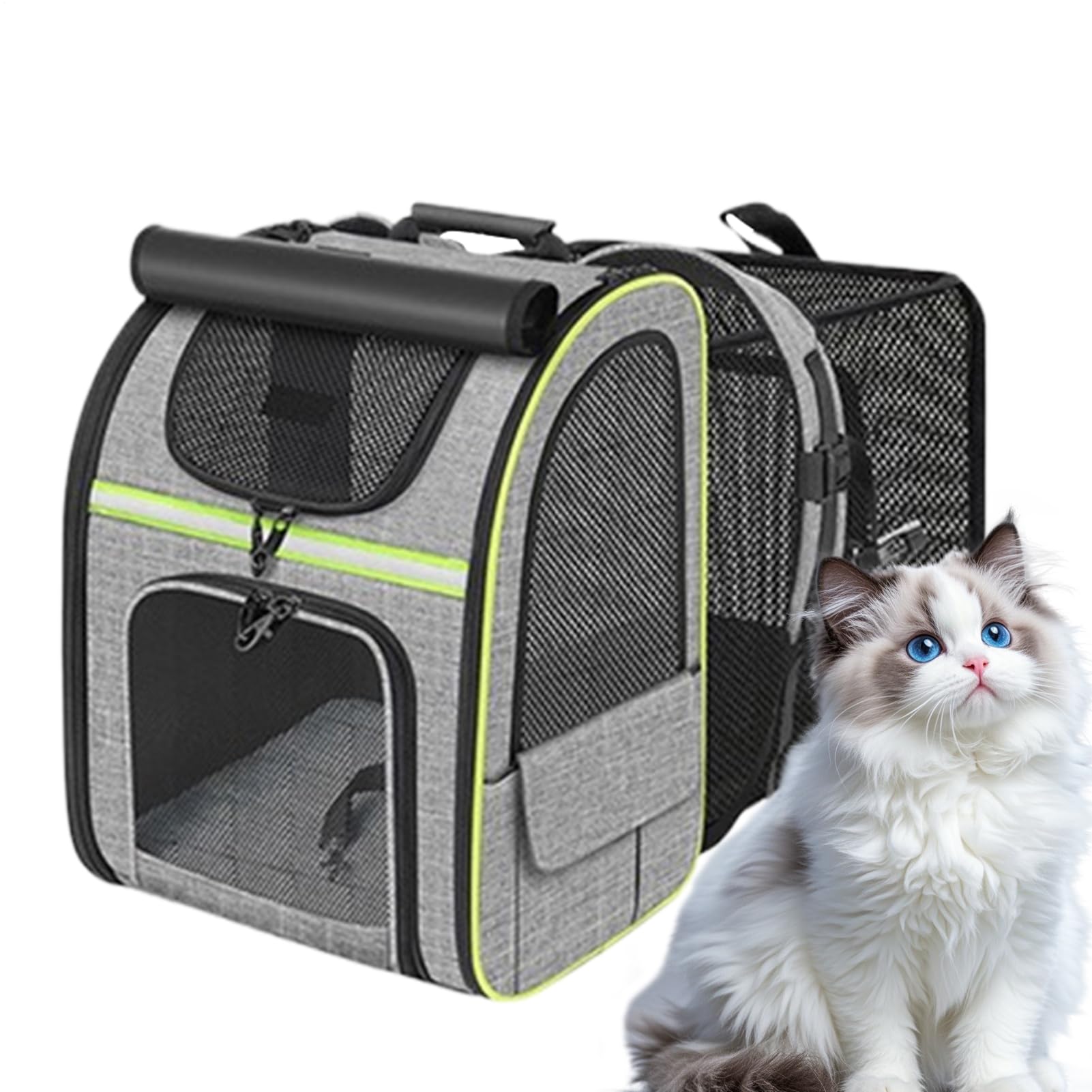 Transportín para Mascotas En Mochila Transportín para Viajes con Gatos | Bolsa Transporte Mascotas Plegable Aireada Para Viaje Camping Senderismo Moto