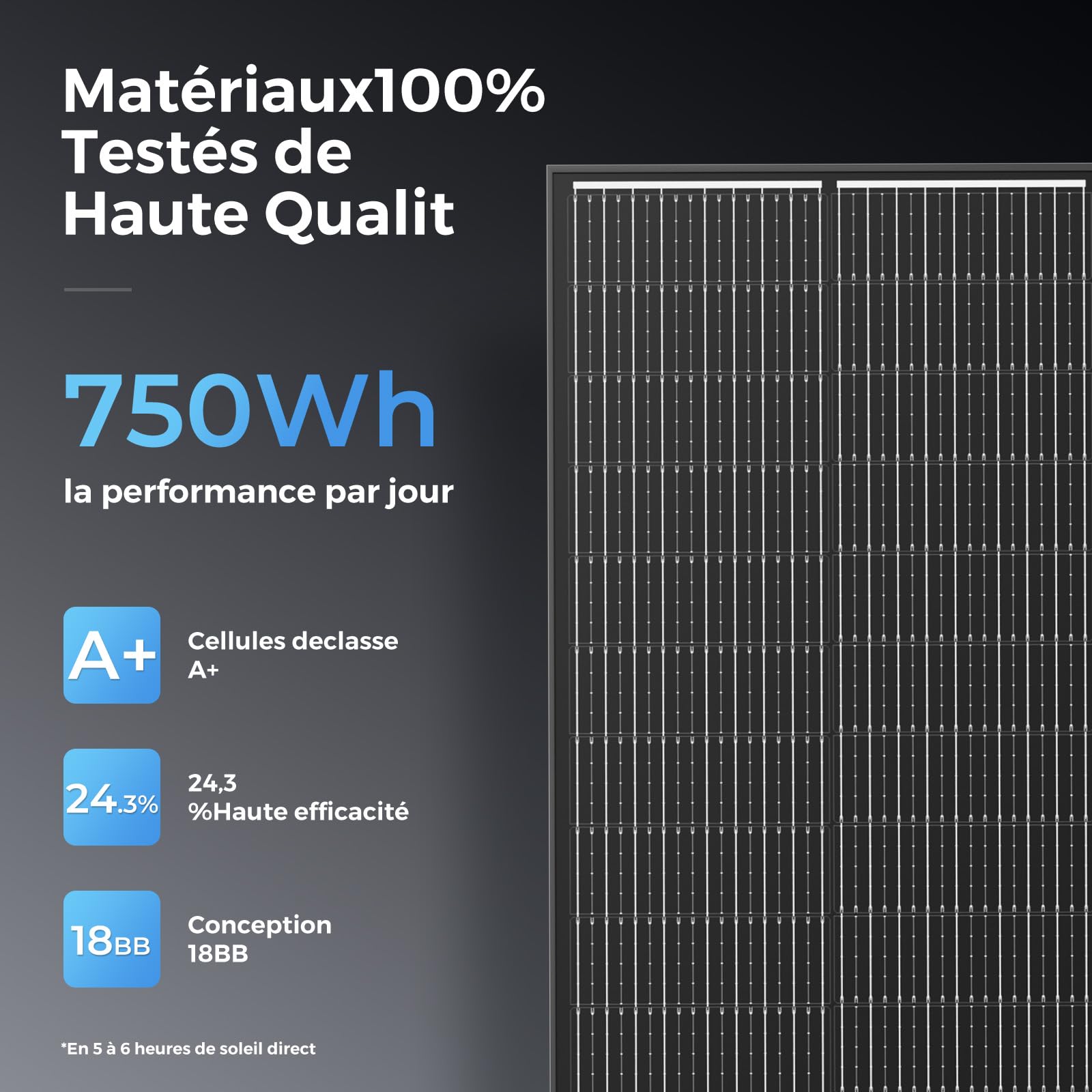 Panneau solaire 300 W, 2 x 150 W modules solaires monocristallins haute efficacité, panneau solaire à cadre en aluminium, module PV 12 V/24 V idéal pour centrale électrique de balcon, toit de maison