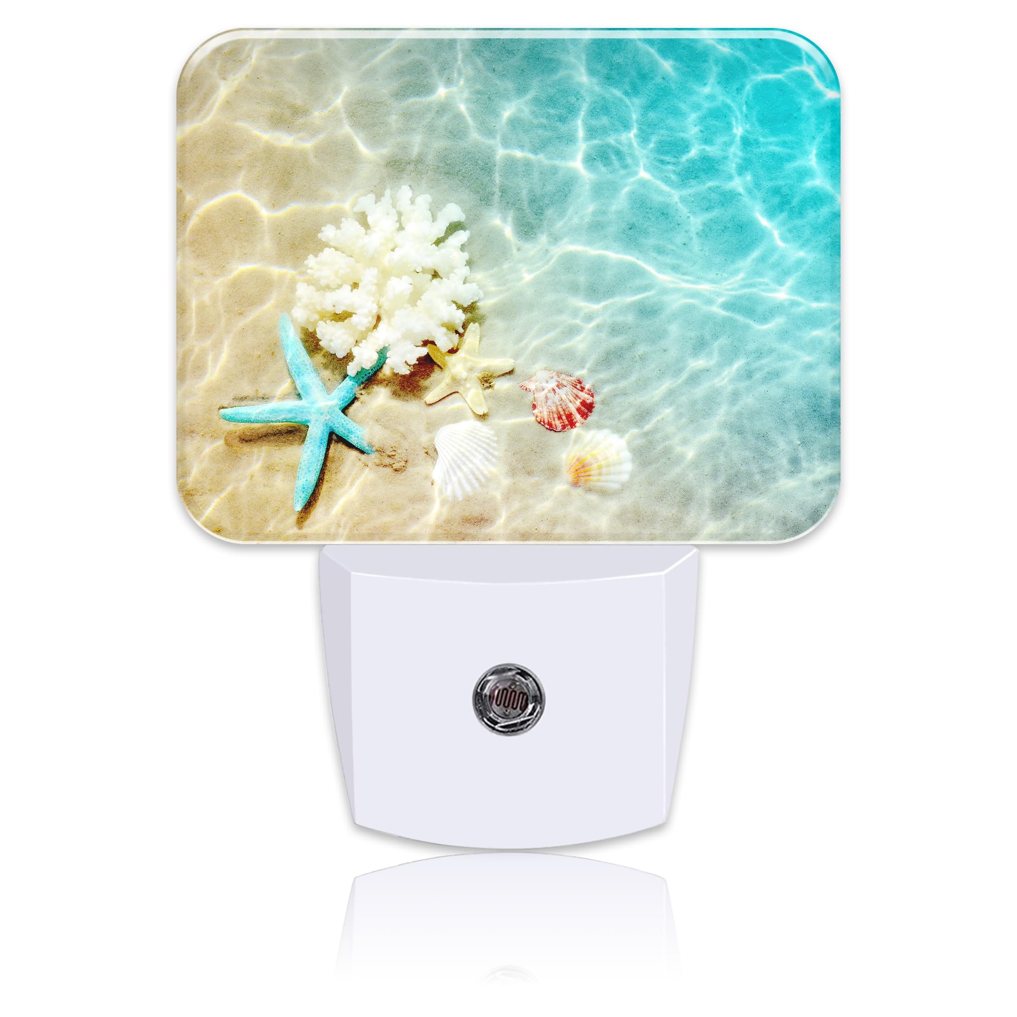 Starfish Coral and Seashell Plug in Night Lights, Beach in Sea Water Nightlight Plug Into Wall Dusk to Dawn Sensor for Kid Girls Boys Women Men Room, Hallway, Kitchen, Bathroom, Stairs Decor