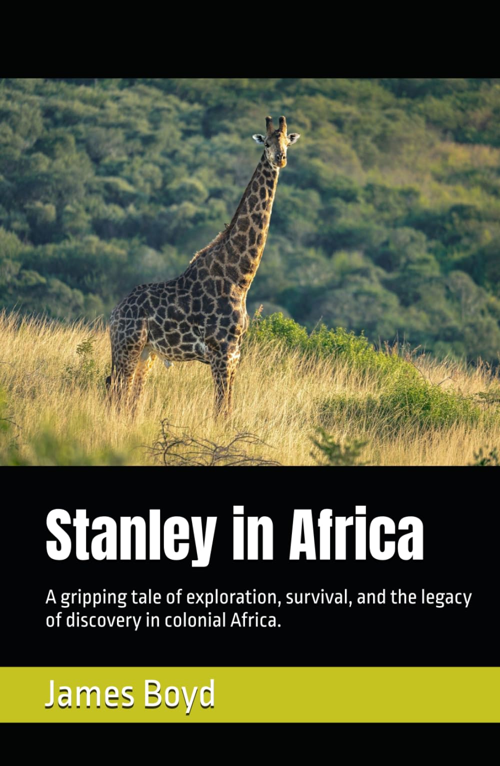Stanley in Africa: A gripping tale of exploration, survival, and the legacy of discovery in colonial Africa.