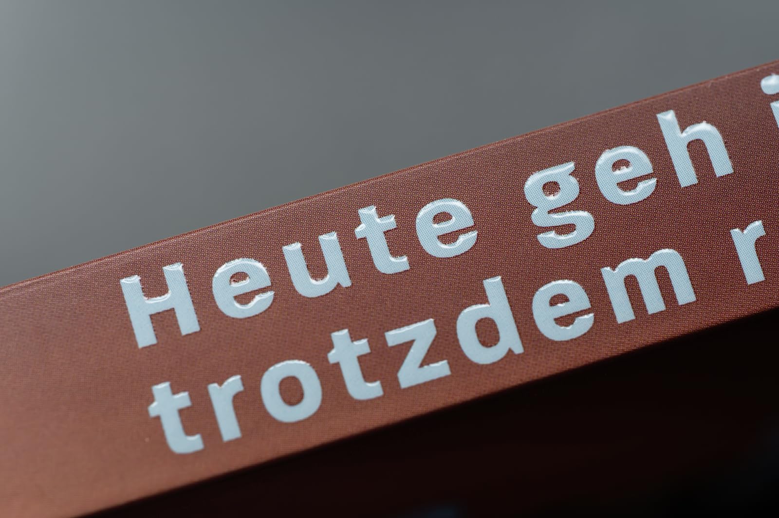 Heute geh ich trotzdem raus: Leben mit sozialen Ängsten | Mit konkreten Notfall-Strategien von vaneschko_