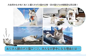 猫好きの料理の本 別冊SPA！猫が好きにもほどがある (扶桑社ムック) | 扶桑社 |本
