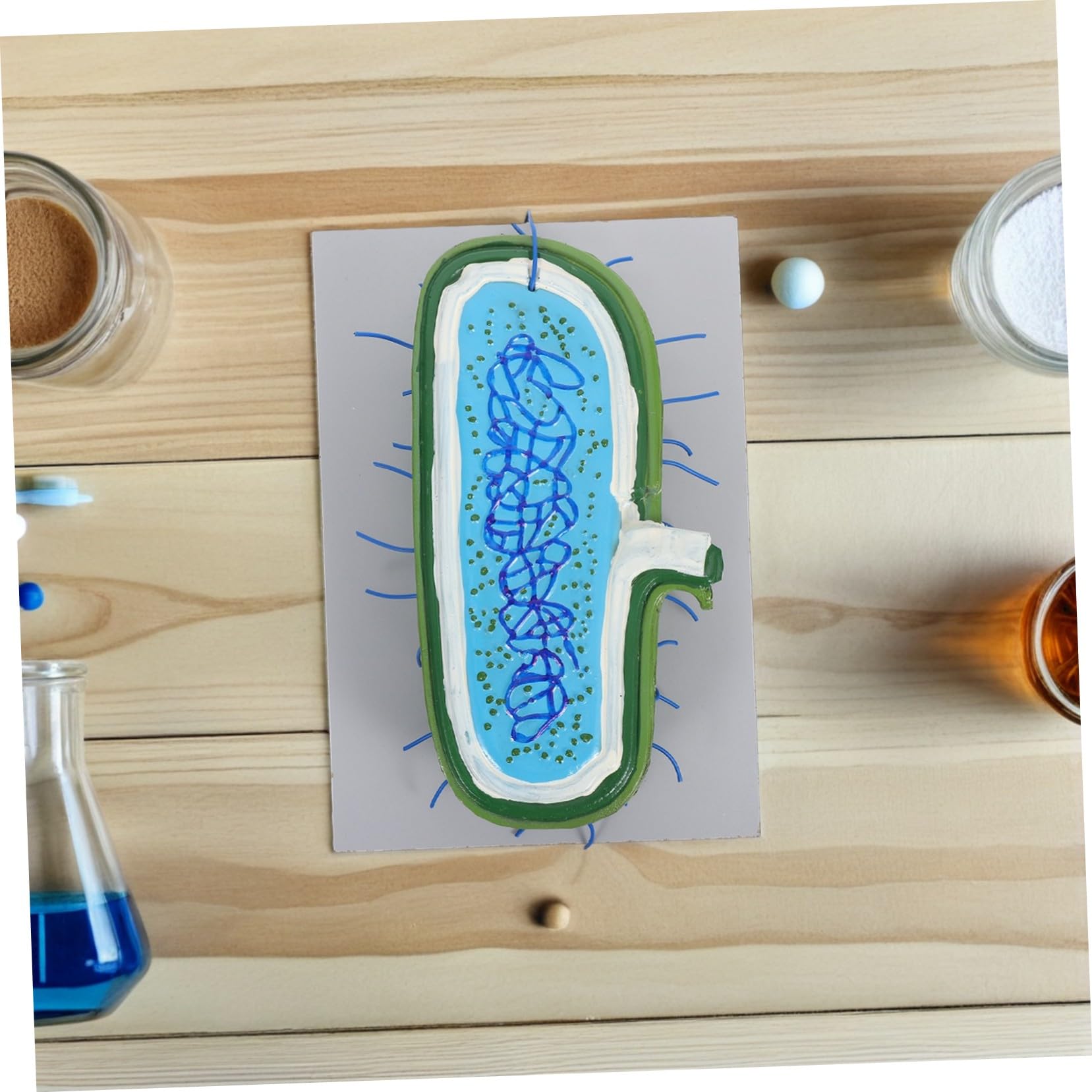 Cabilock Modello Interattivo per Lezioni Biologia Kit DIY per Costruire Struttura con Organelli Gioco Educativo per Studenti e Uso in Aula