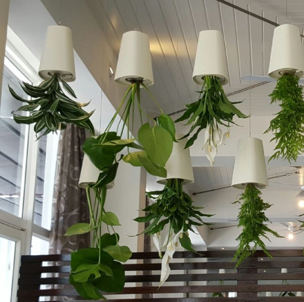 Boskke Sky Planter Recycled Small Off White | Desertcart Belize