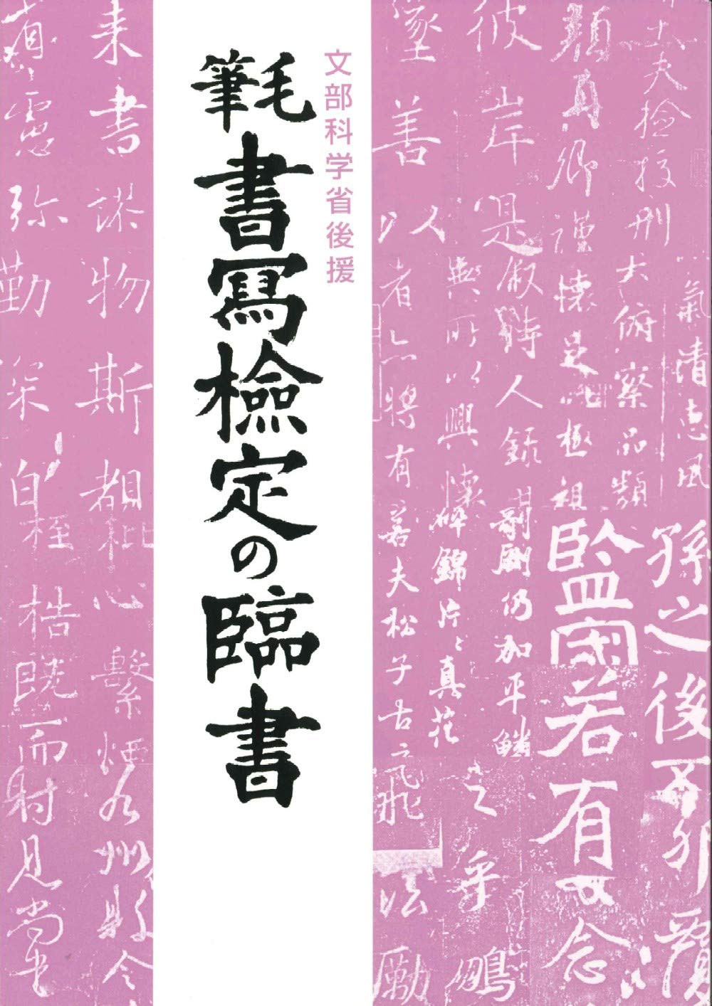★ 江守賢治 「解説字体辞典」 ★ ☆ 江守賢治 「解説字体辞典」 ☆ 解説字体辞典 | 江守 賢治 |本 |