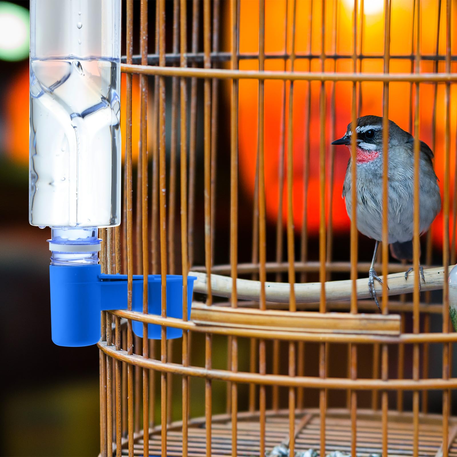 LemonRoad 24 Pcs Bird Drinker Feeder Cups Plastic Water Bottle Cup for Cage Ideal for Pigeon Bottle Chicken Quail Poultry Waterer Accessories(Blue)