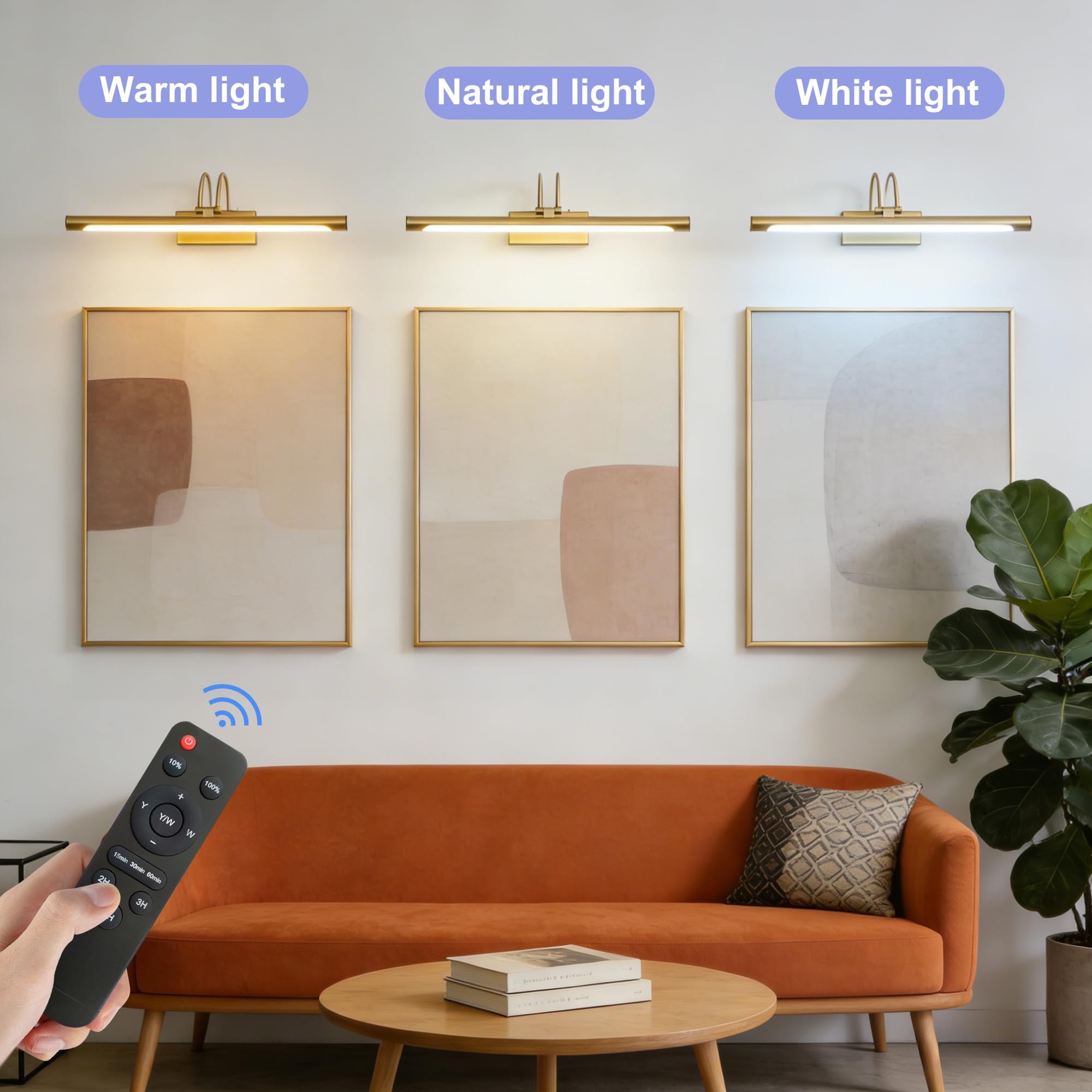 Lampada fotografica senza fili con telecomando, 60 cm, illuminazione a LED con 3 temperature di colore, 5000 mAh, ricaricabile, timer a batteria, dimmerabile, per pittura, opere d'arte e
