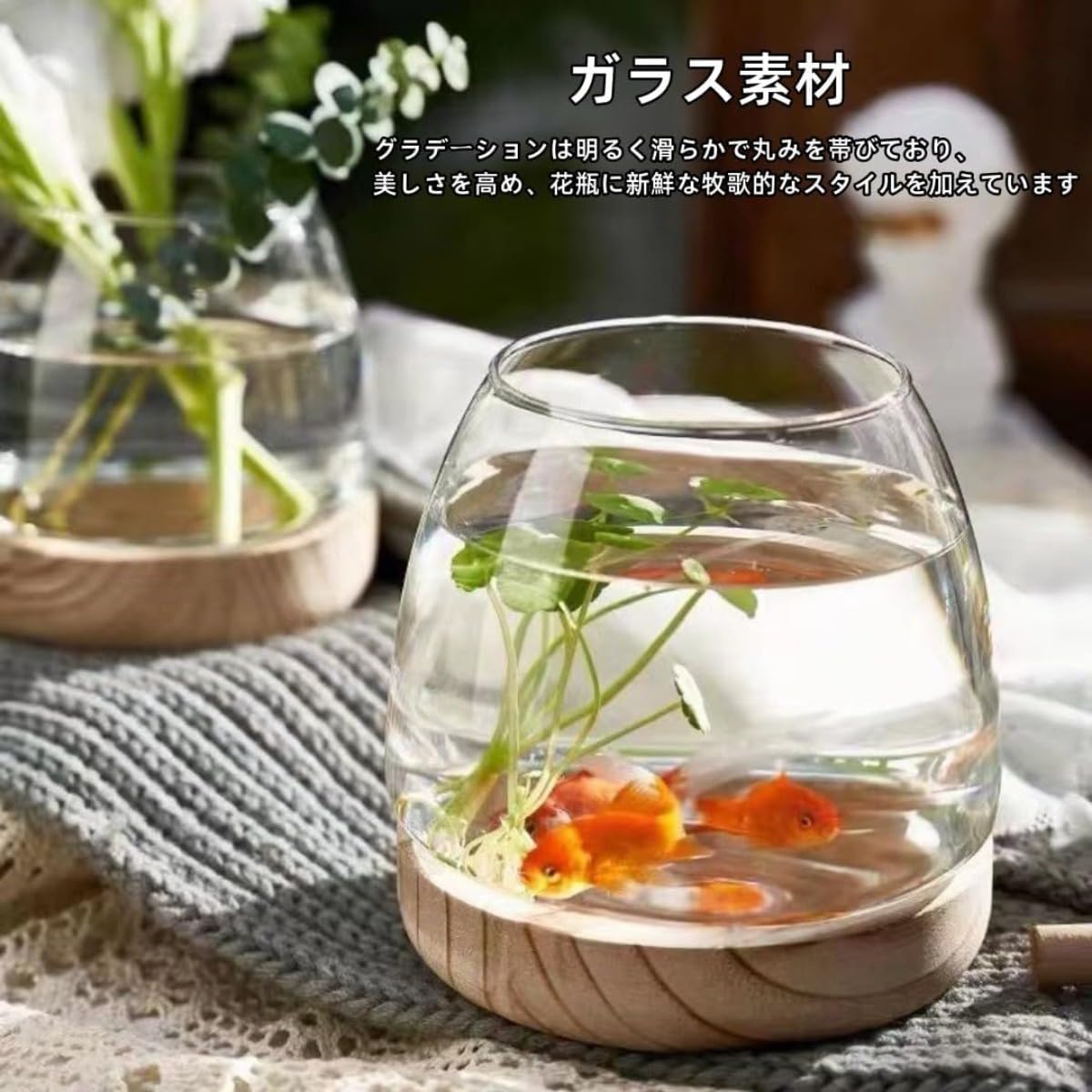 Amazon | Sdvieuk ガラス製 金魚水槽 小型 円形 水培容器 オフィス用