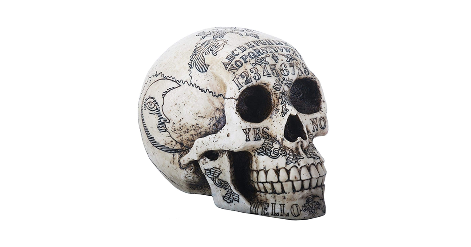 Amazon.com: SUMMIT COLLECTION Paranormal Skull Head with
