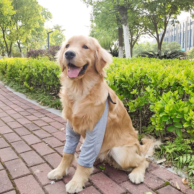 Image of Dog Recovery Suit for Front Legs, Dog Recovery Sleeves After Surgery with Elastic Band, Soft Protective Elbow Braces for Medium Large Dogs, Cone Collar Alternative to Stop Licking Leg Wounds,Grey,XL