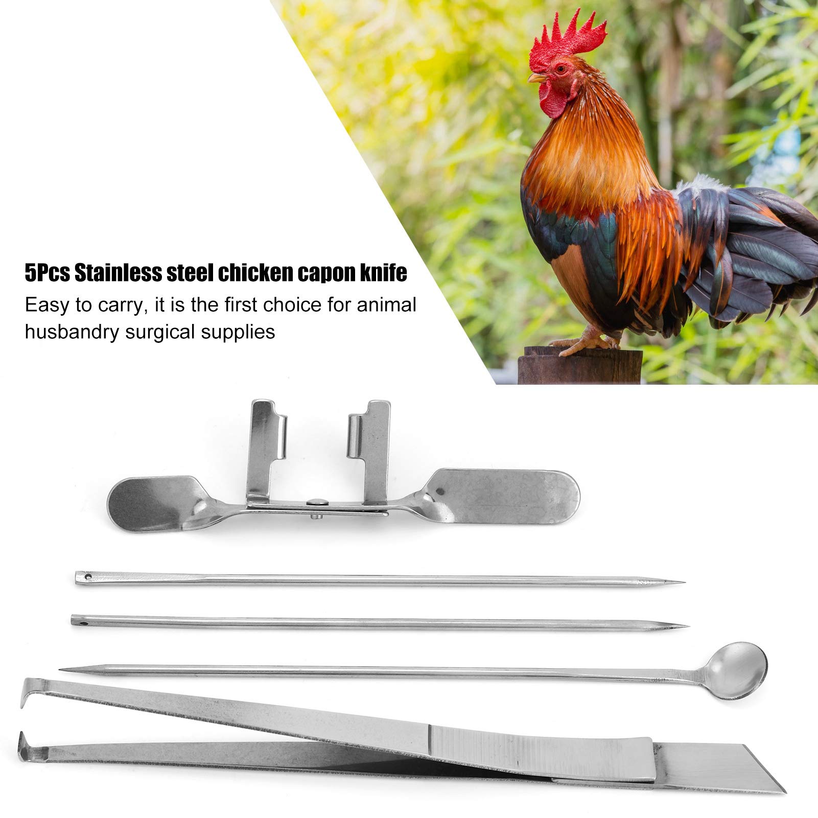 Pssopp Kit in Acciaio Inossidabile per Cappone da 5 Pezzi per Allevamenti di Pollame, Strumenti Affidabili per Castrazione di Pollo, Attrezzatura Chirurgica Facile da Usare e Durevole per la
