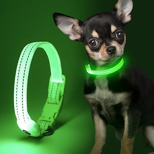 Collar de perro con luz LED, recargable con micro USB, correa de nailon ajustable, hebilla de plástico, anillo D, collar básico de seguridad
