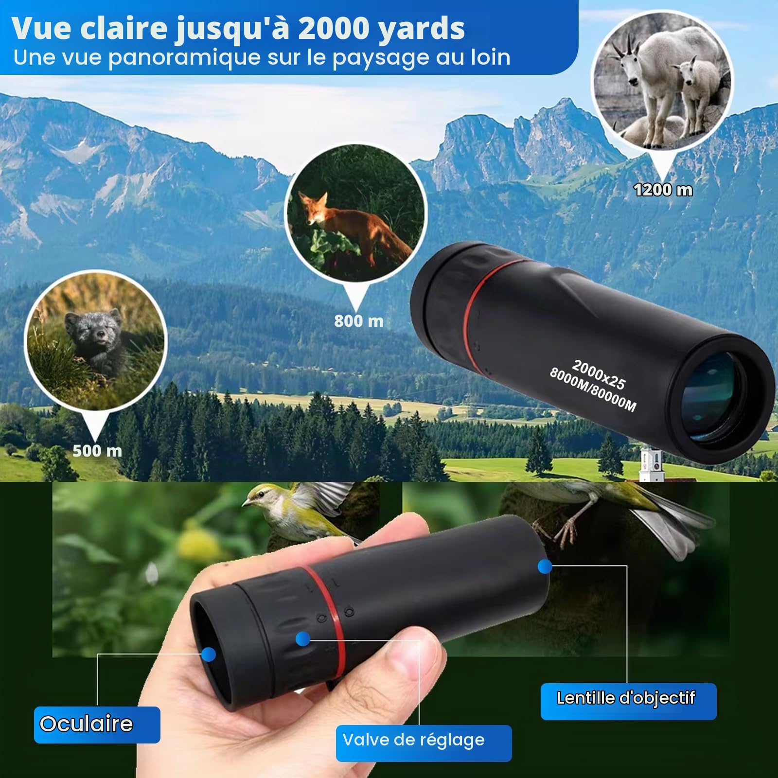 Jumelles compactes monoculaires 10 à 20 x, 9 x 3 cm, avec prisme BAK4 et FMC, support pour smartphone et trépied, télescope étanche pour adultes, idéal pour la randonnée, l'alpinisme, les concerts