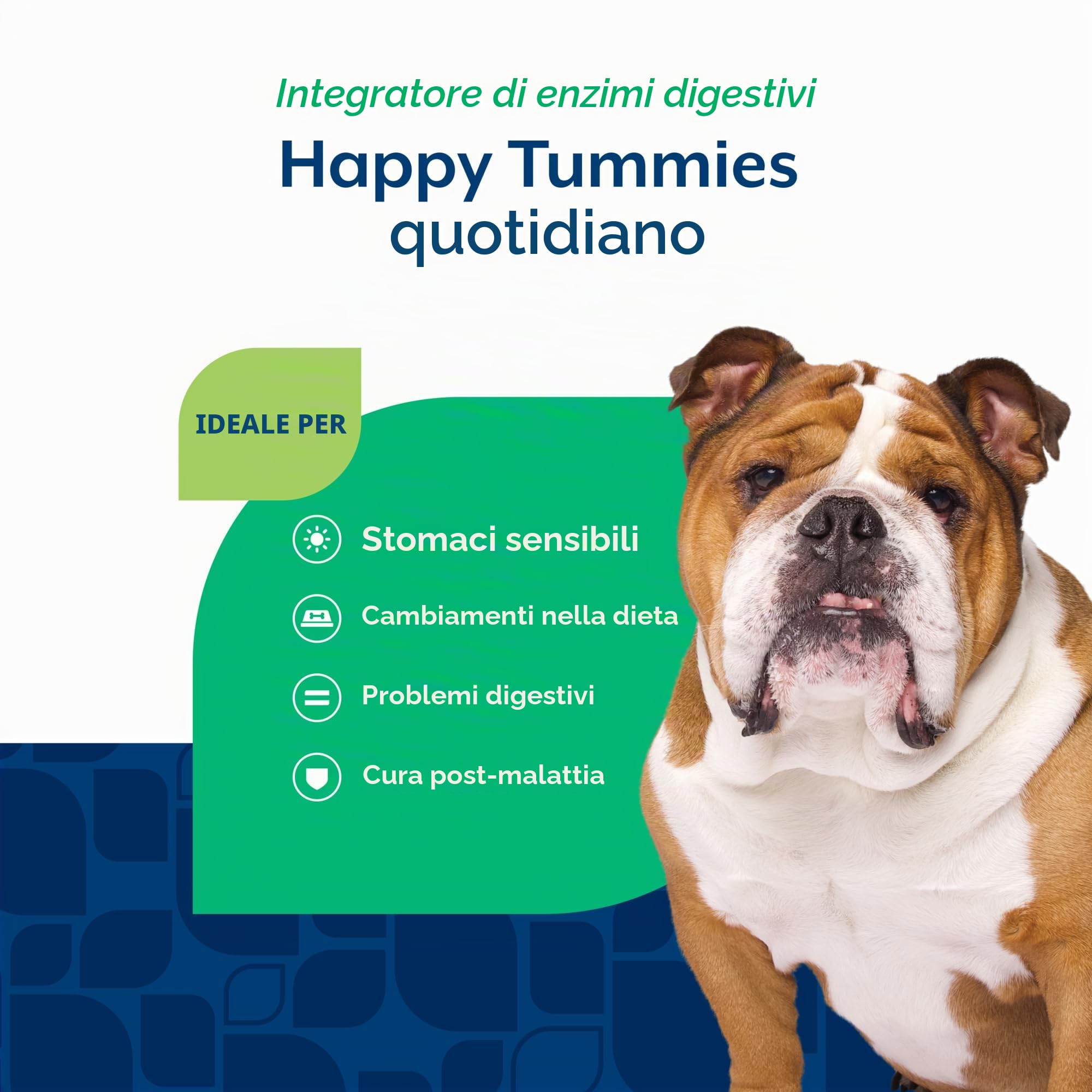 NaturVet – Enzimi digestivi - Plus Probiotici e prebiotici - Aiuta a sostenere Il Cambiamento della Dieta e Un Tratto digestivo Sano - per Cani e Gatti (masticabili Morbidi, 120 Pezzi)