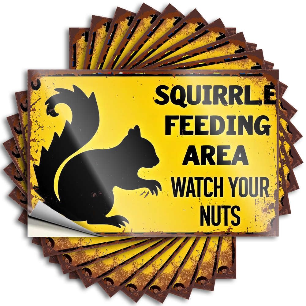 Sticker Tumbler Summer Squirrel Feeding Area Watch Your Nuts! for Standing - Outside Decor Easy Peel Removable(6X9CM)