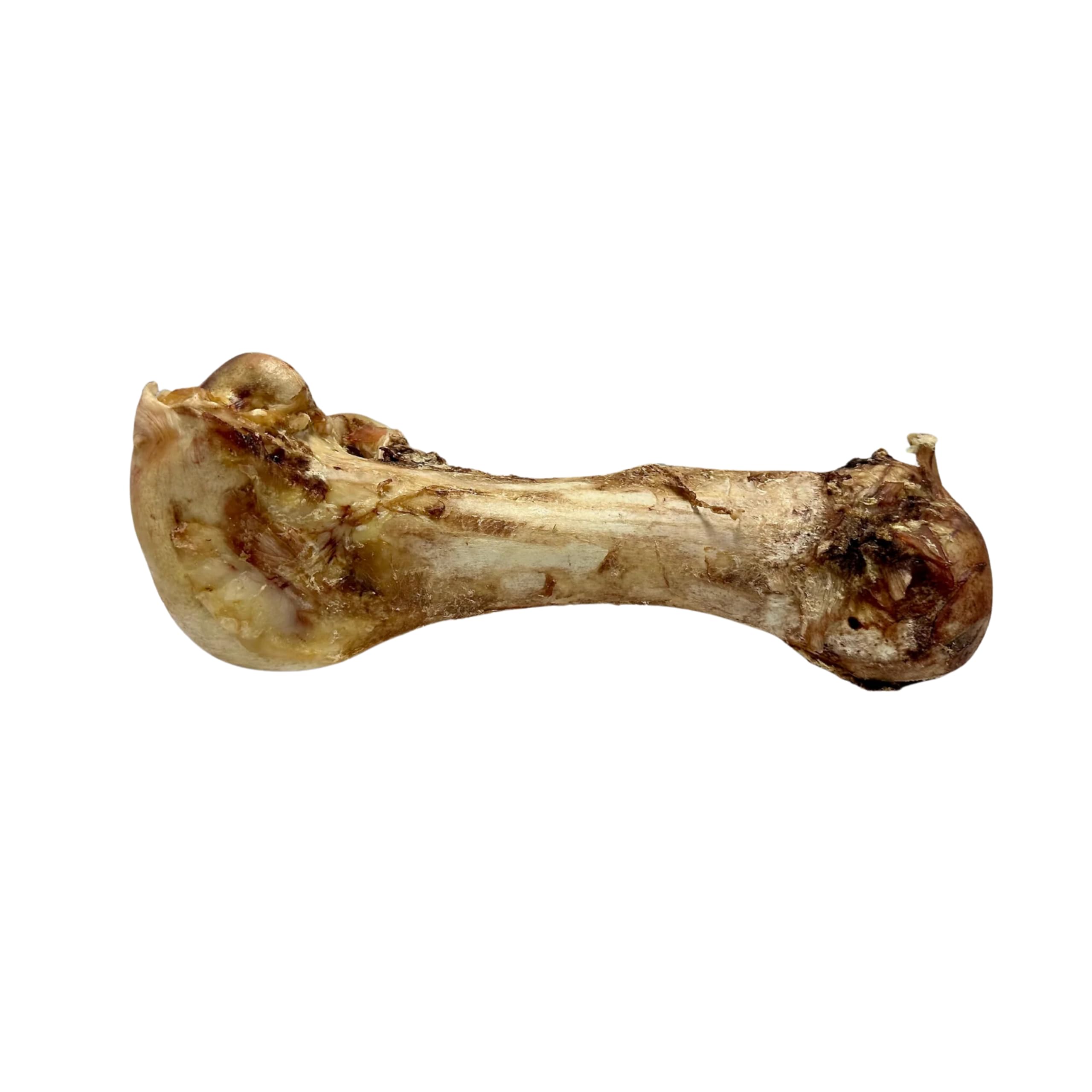 Giant Dino Ostrich Bones For Dogs. Mr Darcys Dog Bones natural long ...