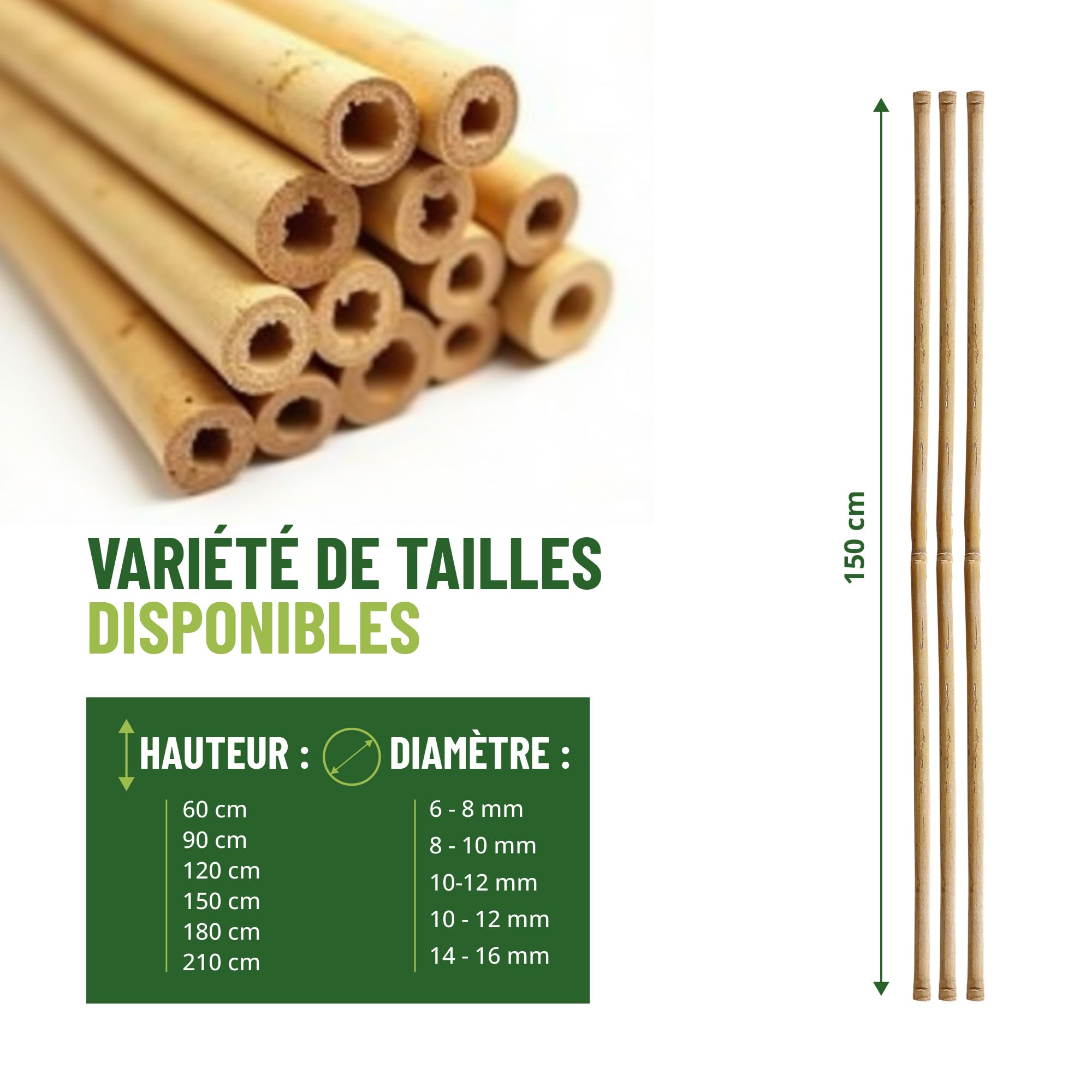 Control Garden Lot de 30 tuteurs en bambou écologique de 150 cm | Piquet naturel pour soutenir les plantes Ø 10-12 | tiges, arbres, légumes, vignes et cultures