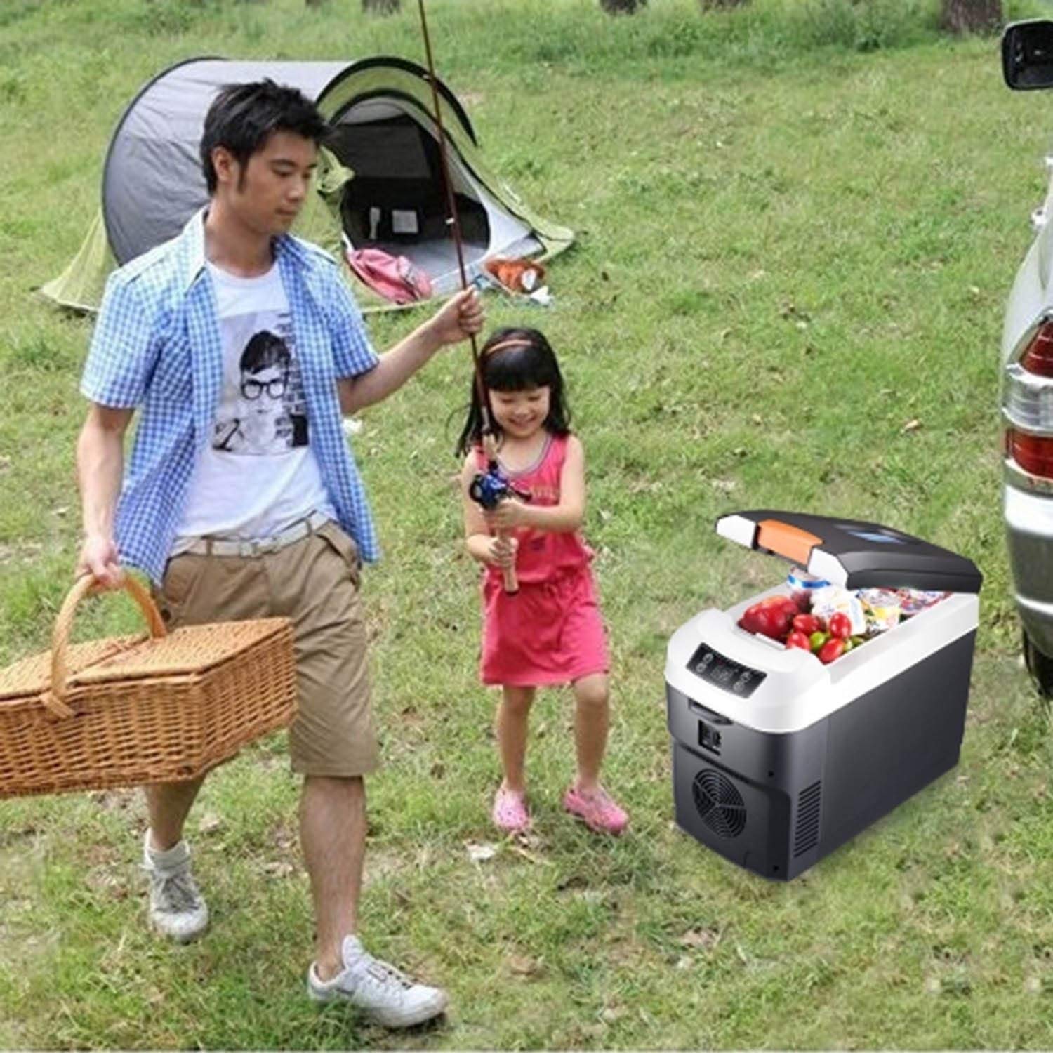 Autokoelkast, elektrische koelbox, 10L liter vriezer 12V 220V draagbare mini -reiskoelkast Heet/koud Geschikt voor vrachtwagenchauffeur, camping, picknick enz. (Color : 2