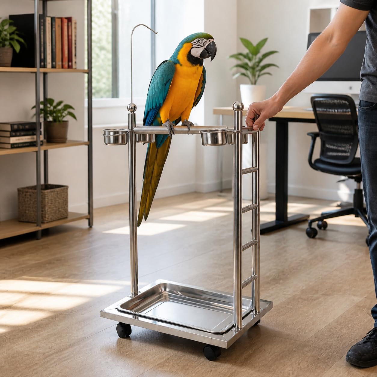 Soporte Ajustable para Aves con Ruedas, Size to 3