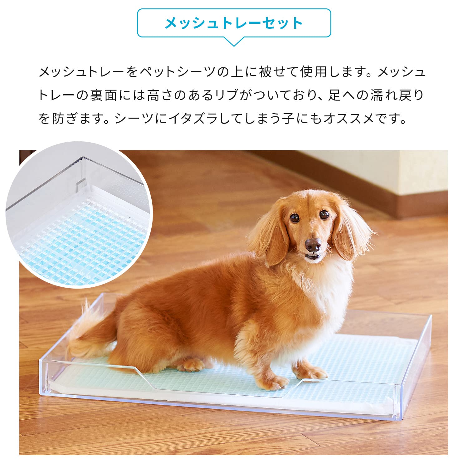 Amazon | オーエフティー クリアレット 2 M メッシュセット ワイド