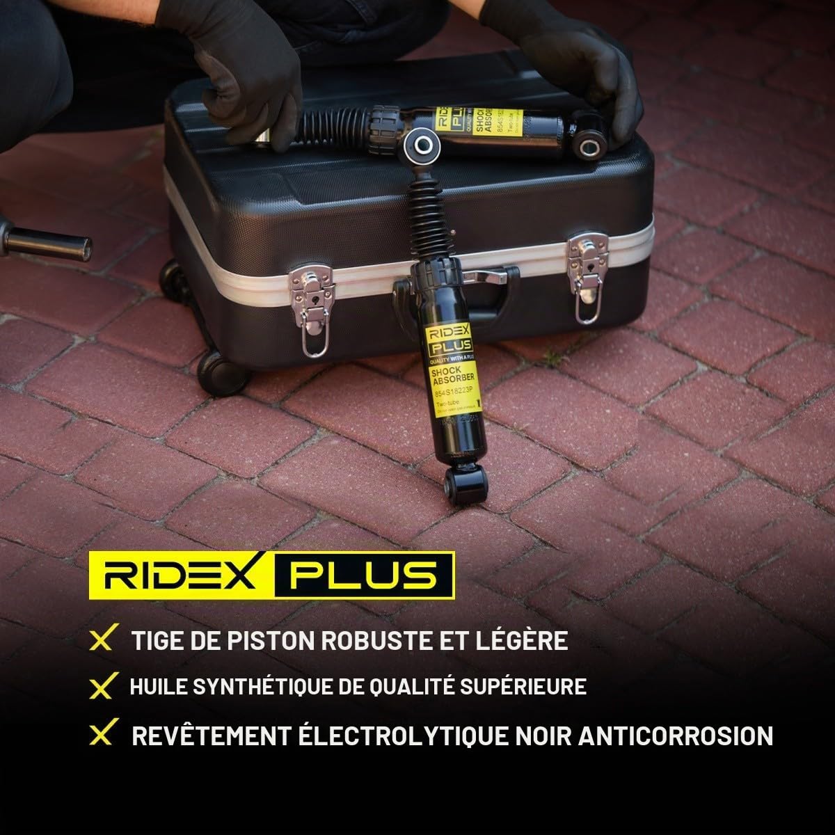 RIDEX PLUS 854S18998P 2x Amortisseur Avant Compatible avec RENAULT Clio 3 3/5 portes BR0/1, CR0/1