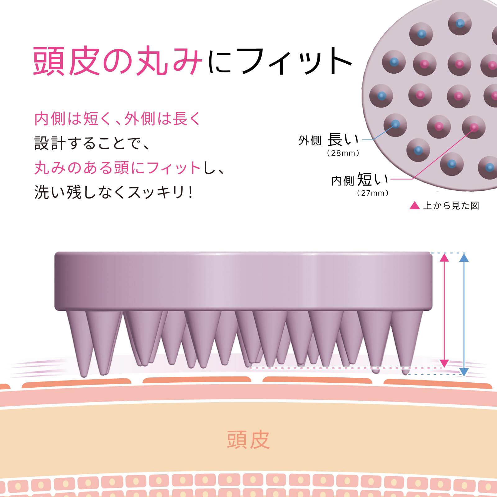 Amazon.co.jp: Tottimo! マルチスカルプブラシ スカルプブラシ
