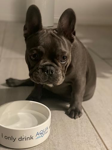 Miniatura 4 de AquaTru Carafe - Purificador de agua inteligente para encimera  Sistema de ósmosis inversa de 4 etapas conectado a la aplicación con jarra de vidrio