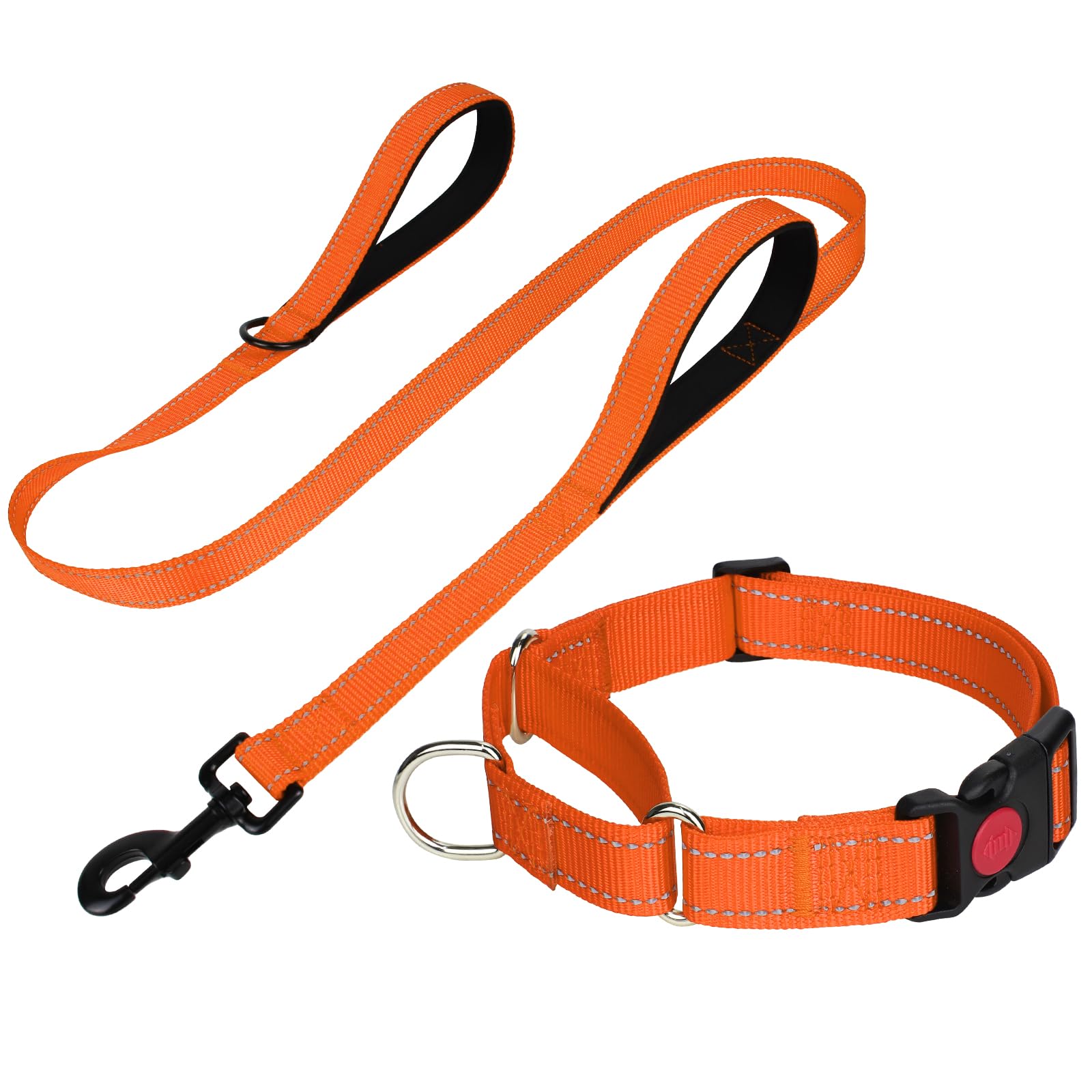 FunTags Reflective Martingale Collar for Dogs, Quick Release Buckle, 5FT Double Handle Dog Leash Padded, Dog Collar and Leash Set, Adjustable for