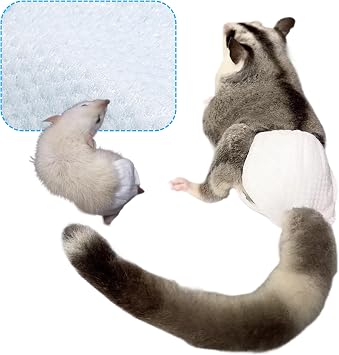 Squirrel Sugar Glider Diapers Disposable Nappy Poultry Cloth 10/15/25/35 Count Small Pee Pads for Hamster Fancy Rat Groundhog Small, Count, 10