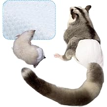 Squirrel Sugar Glider Diapers Disposable Nappy Poultry Cloth 10/15/25/35 Count Small Pee Pads for Hamster Fancy Rat Groundhog Small, Count, 10