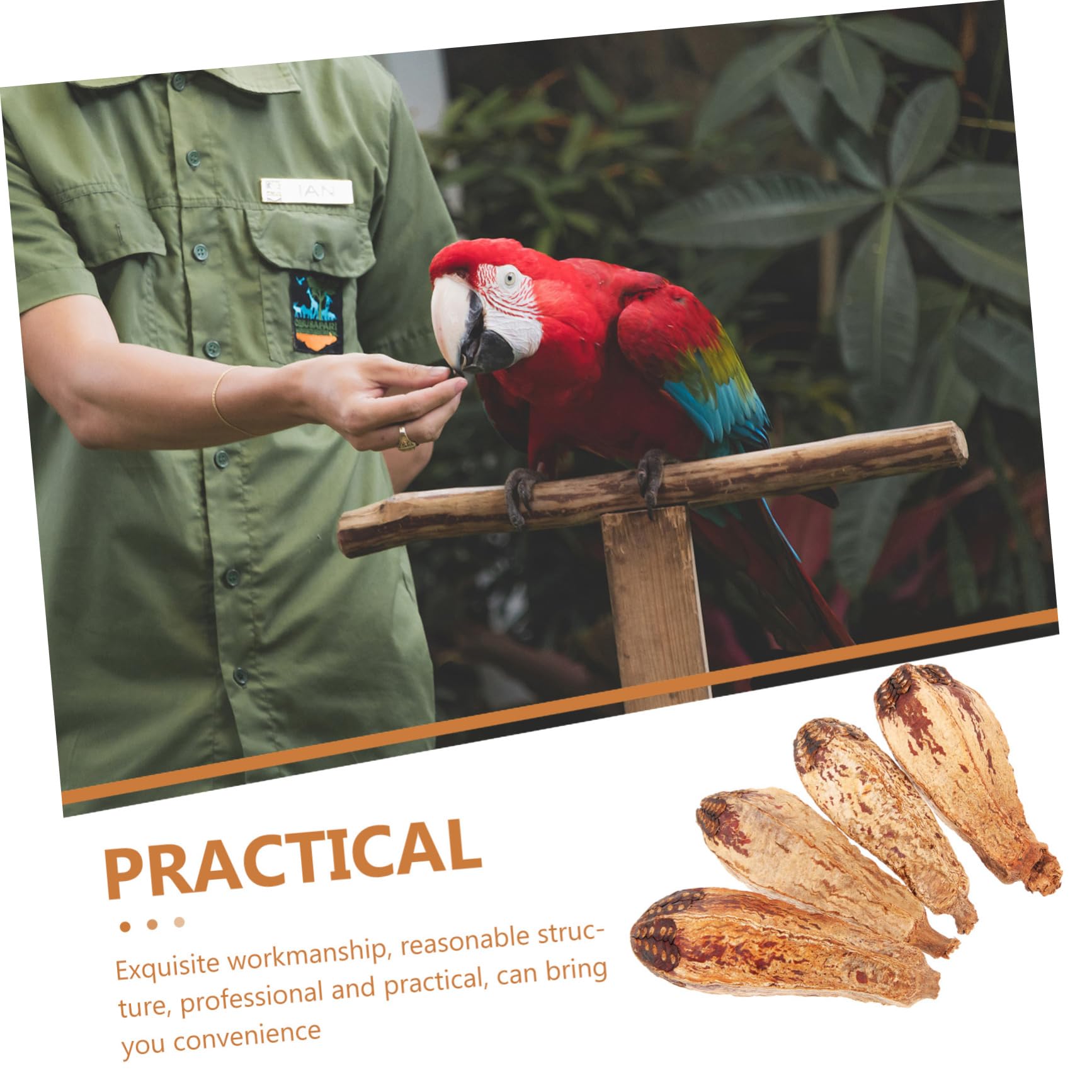Beaupretty 20pièces Jouets à Mastiquer pour Oiseaux Naturel Accessoires De pour Perroquets Et Inséparables Réduit Ennui Et Favorise Petits Oiseaux