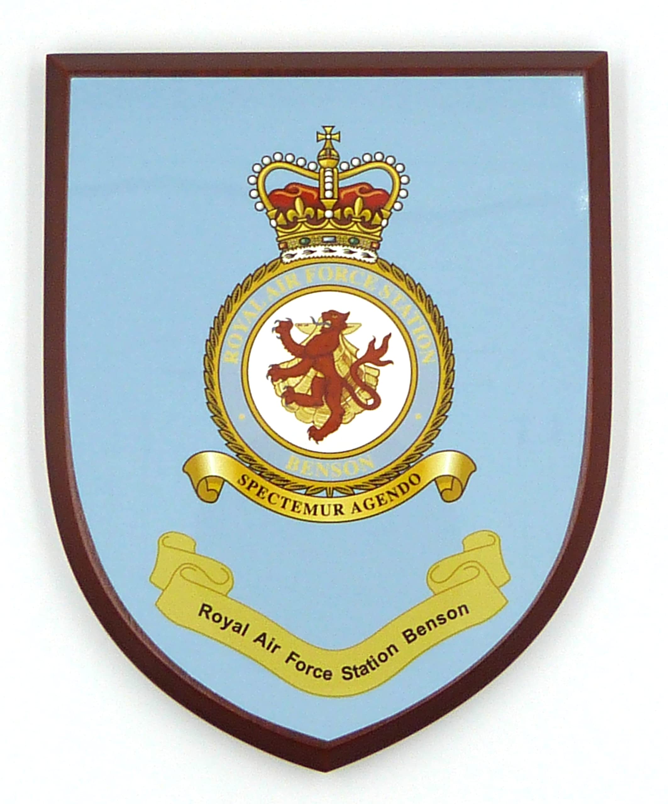 RAF Royal Air Force Station Benson hand made in UK full faced Wall/Mess Plaque