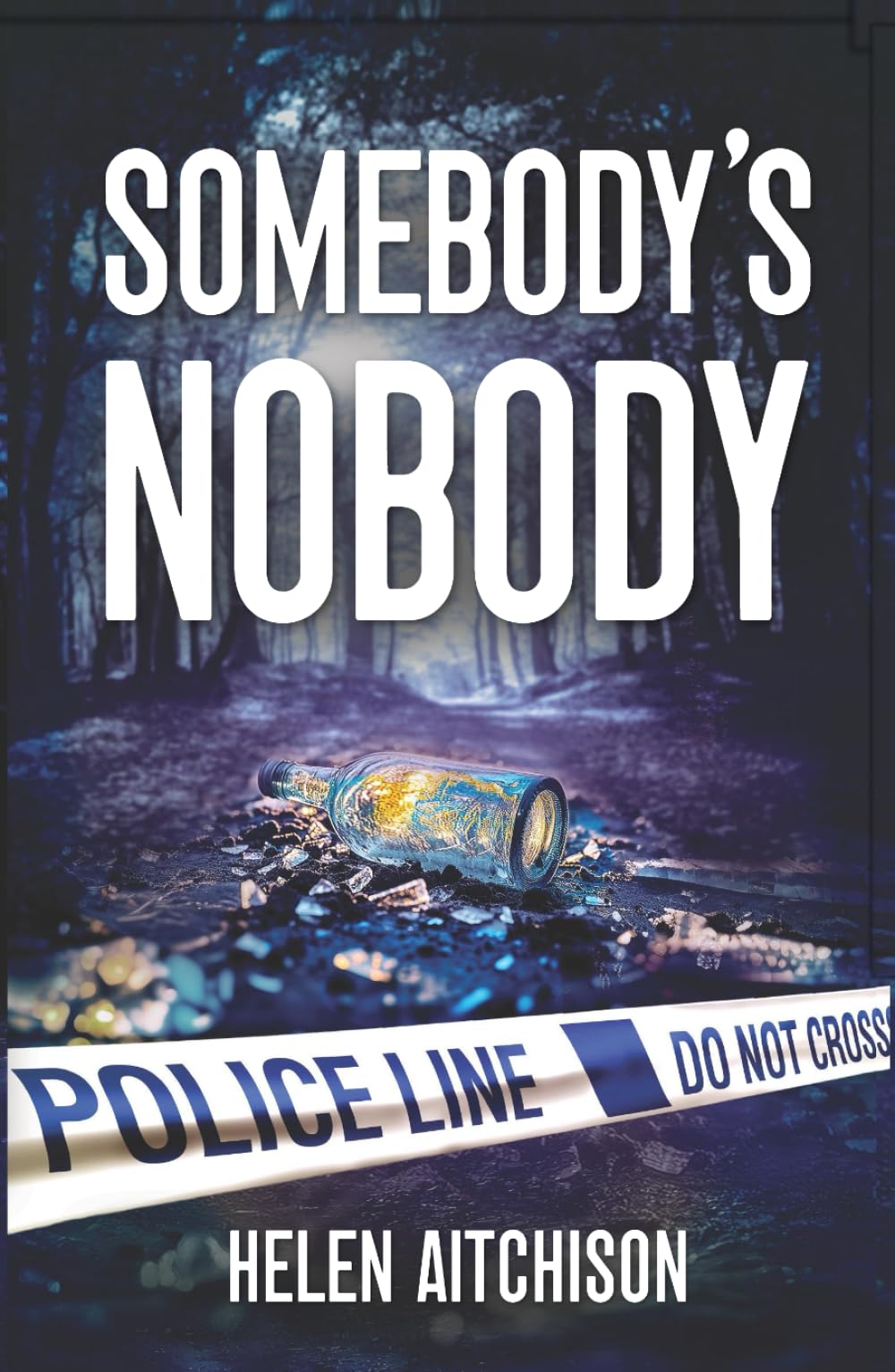 Somebody's Nobody (Ericson and McCardle)