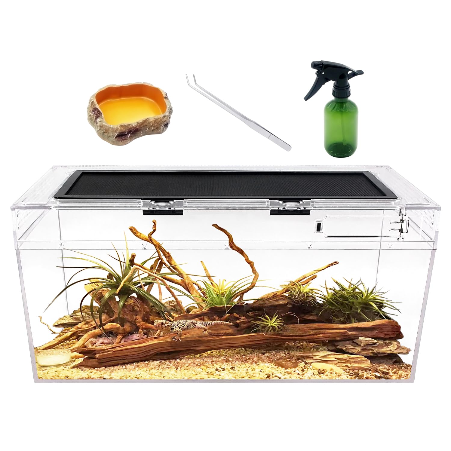 Set de Terrario Reptile PC, Tanque Reptil 50 x 25 x 20 cm con ventilación de Pantalla de Puerta corredera Superior para Reptiles, Anfibios e invertebrados