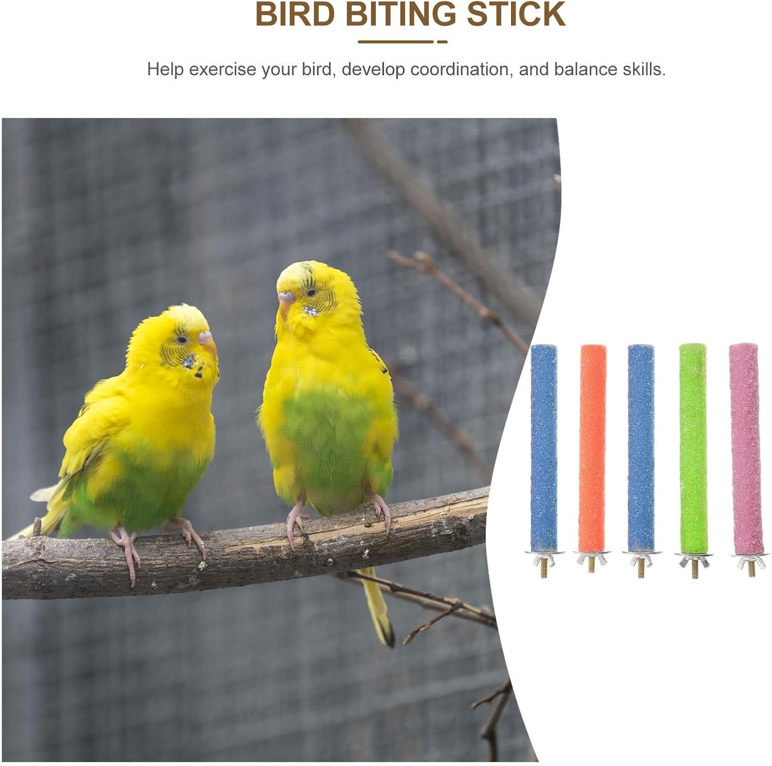 5pcs Bird Cage for Parakeets and Parrots Wooden Stand Rod image 3