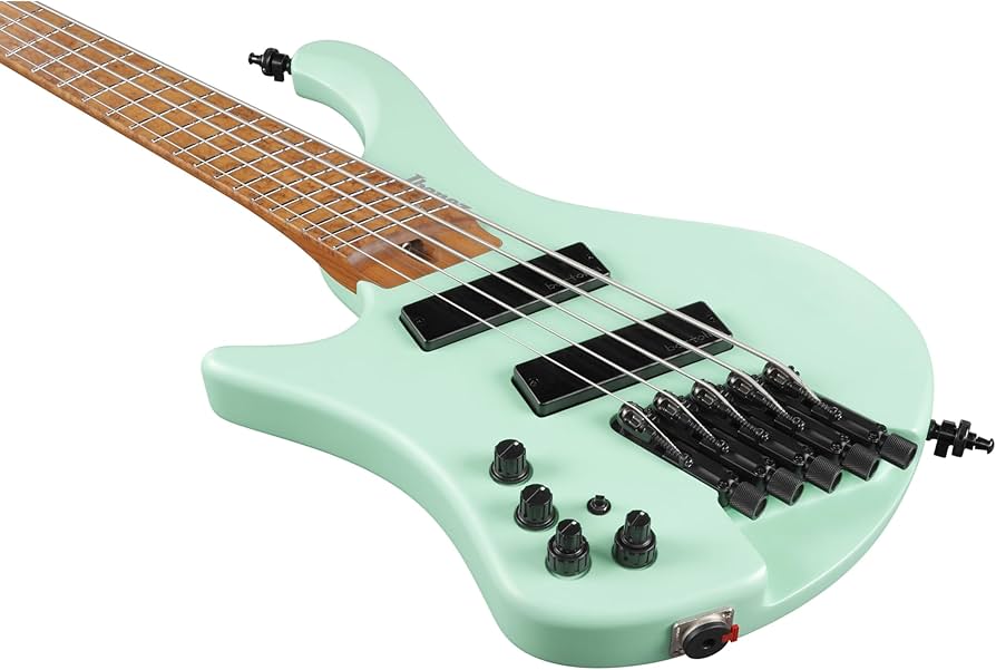 【Ibanez 5弦ベース 】EHB1005MS※ソフトケース、交換弦付き Ibanez 5弦ベース 】EHB1005MS※ソフトケース、交換弦付き