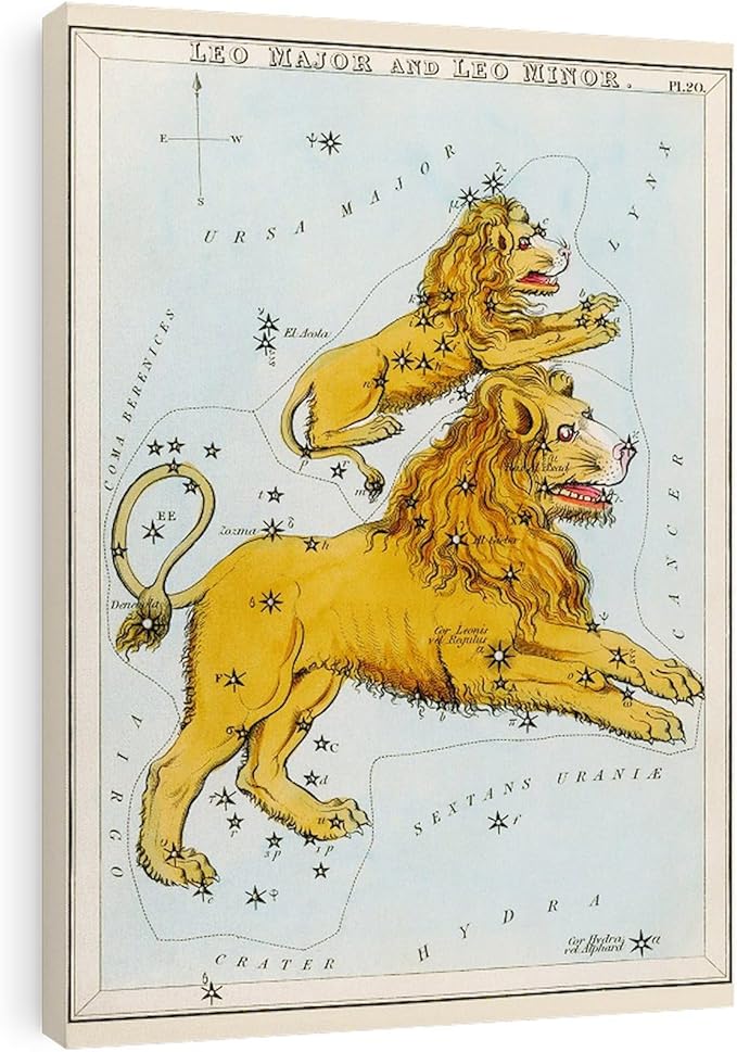 CafePress Canvas Wall Art Lion Leo Constellations Ready to Hang for Living Room, Bedroom or Office