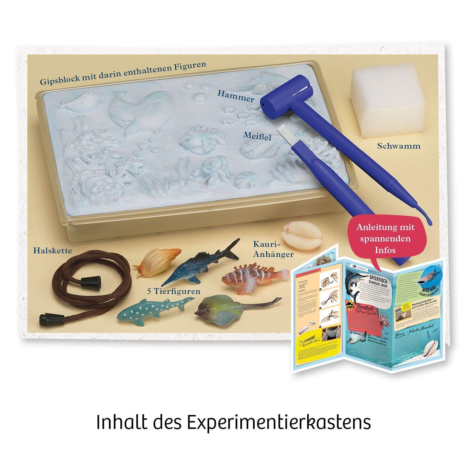 Meeres-Abenteuer: Experimentierkasten