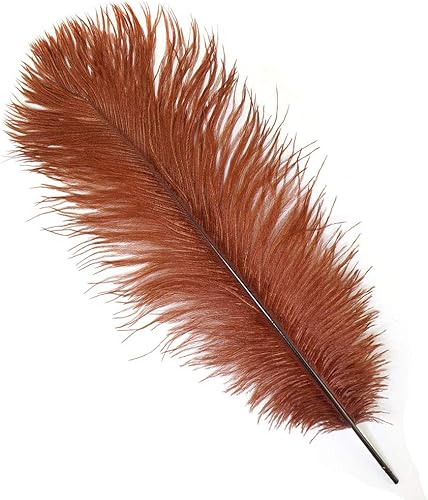 Zucker Plumas de avestruz para centros de mesa, decoraciones de boda, plumas para manualidades, 12 piezas, 13-16 pulgadas, canela