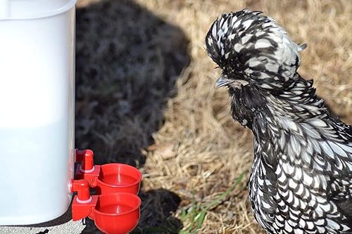 Miniatura 5 de Kit de agua de pollo para aves de corral, paquete de 6 + uno extra gratis (total de 7)
