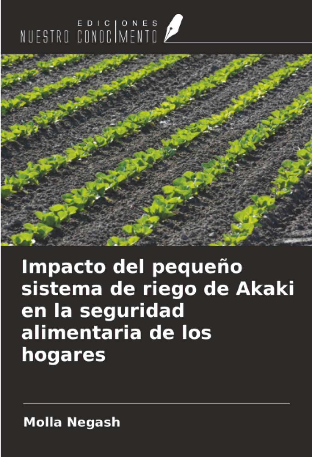 Impacto del pequeño sistema de riego de Akaki en la seguridad alimentaria de los hogares