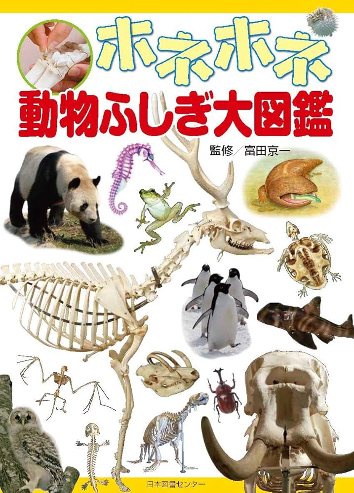 ホネホネ動物ふしぎ大図鑑 | 富田京一 |本 | 通販 | Amazon
