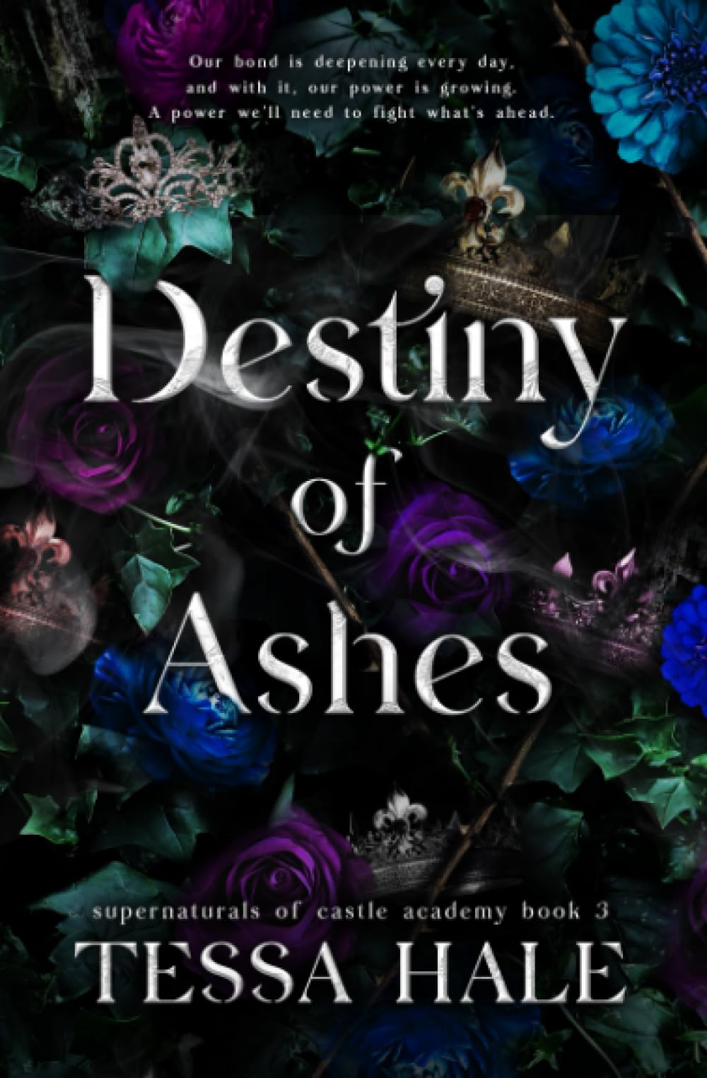 Destiny of Ashes: Special Edition