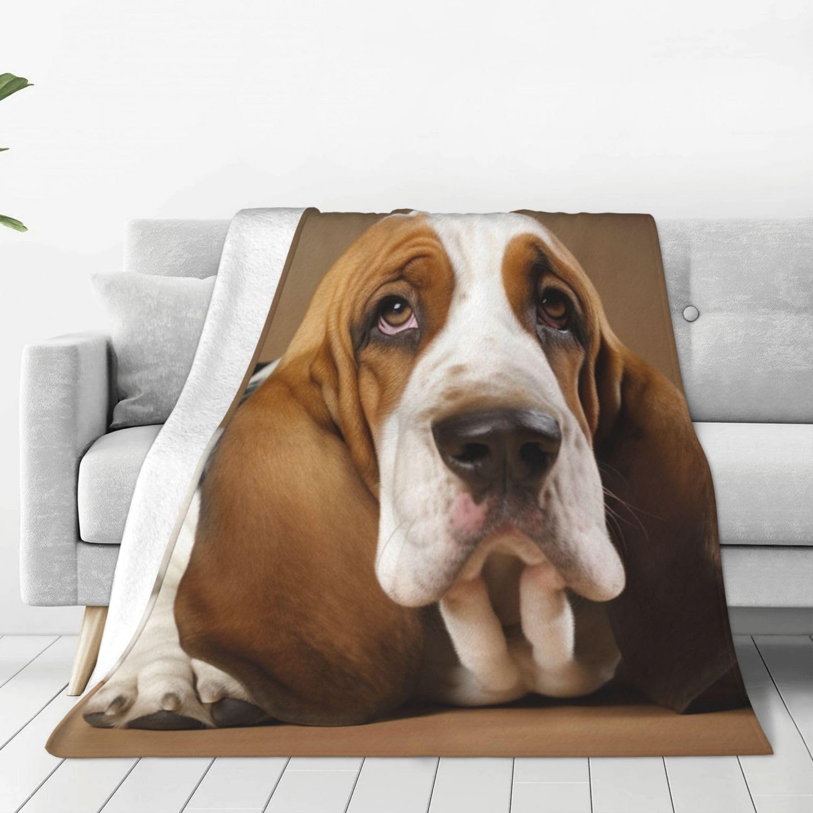 KLOPH Basset Hound Throw Blanket 60"x50" Flannel Fluffy Warm Blanket for Couch, Reversible Plush Blankets for Bed, Comfy Fuzzy Blanket for Sofa, Plush Lightweight-Blankets for All Season